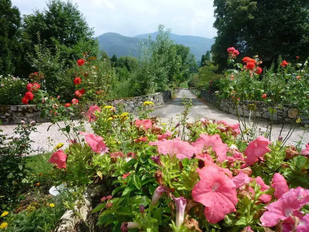 Domaine Véga