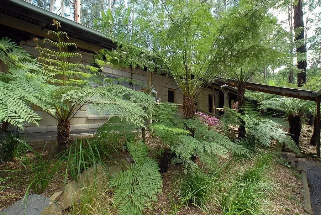 The Fernglen Forest Retreat