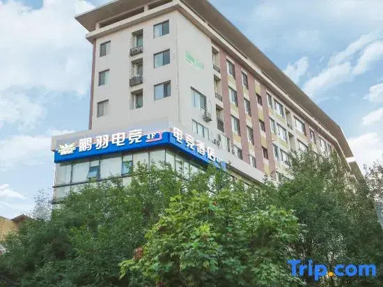 Pengyu E-Sports Hotel (Majuqiao)