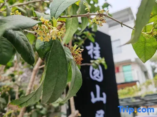 Xiamen Guiyuan Shanju Homestay (Guankou Jinghu Nanlu)