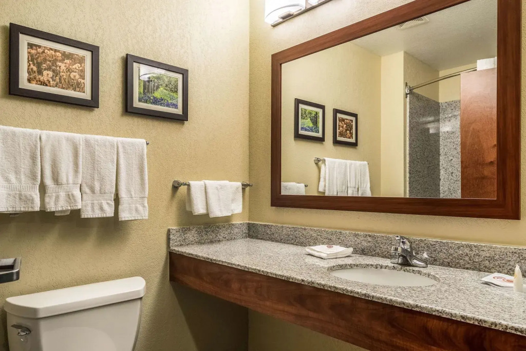 Comfort Suites Near Texas State University