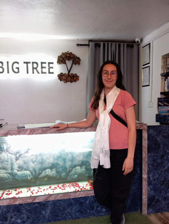 Big Tree Hostel