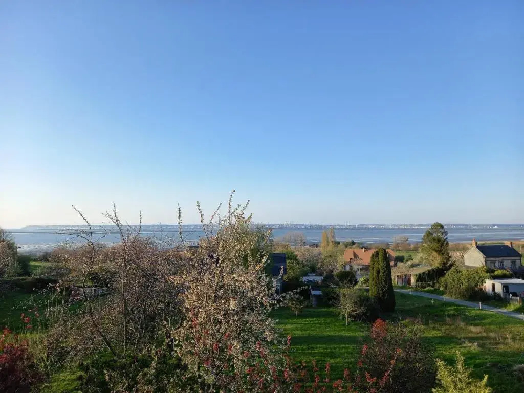 Les Lys