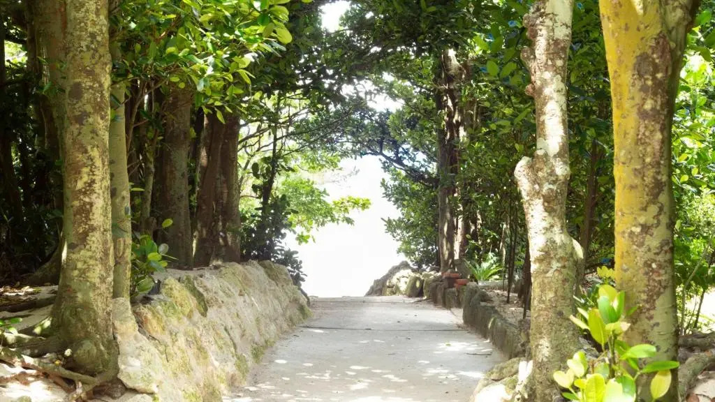 Kunigami-gun - House - Vacation STAY 91572