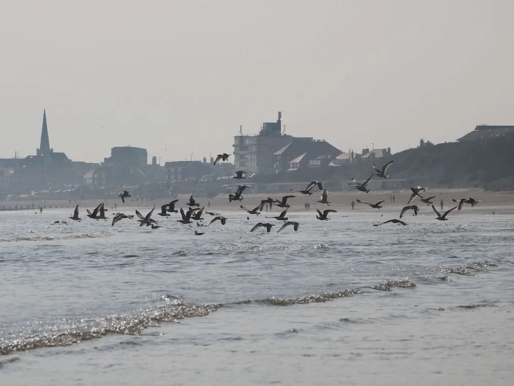 Bridlington Bay House