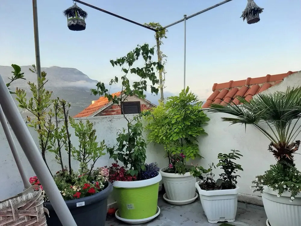 Guest House Jungher