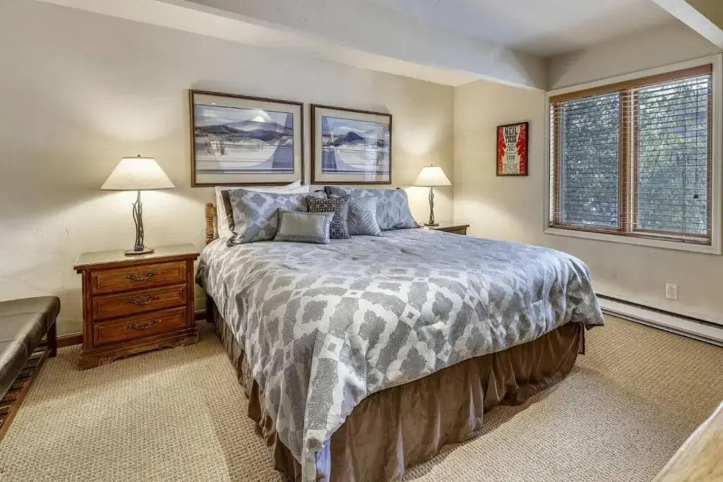 Expansive 2 Bedroom Downtown Aspen Condo, Walk to Gondola for Skiing, Steps to Dining, Shopping and Entertainment