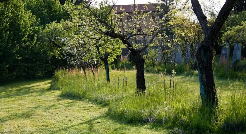 B&B Montenavale