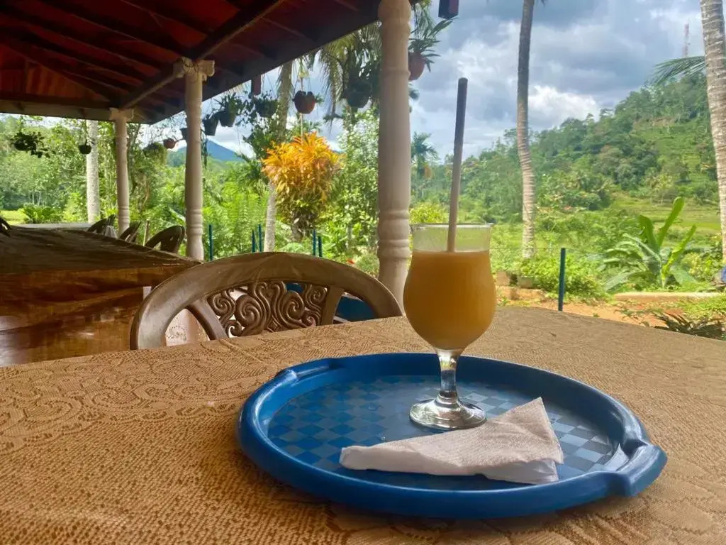 Rainforest Holiday Inn