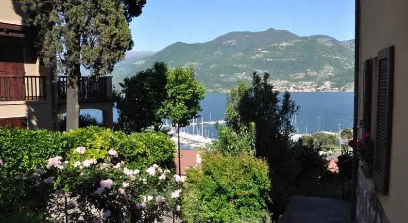 Casa Viola