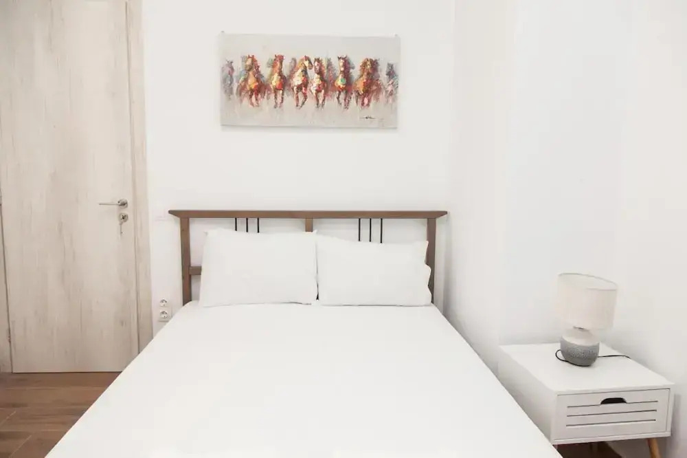 Gorgeous Apartment in Athens GTD8280-02