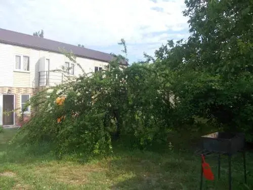 Guest House Inzir