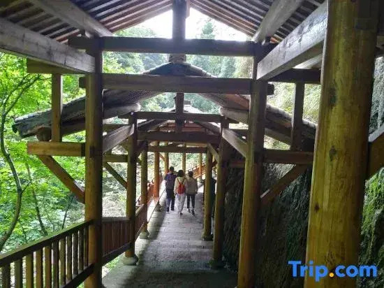 Yandang Qiushui Shanshe Hostel