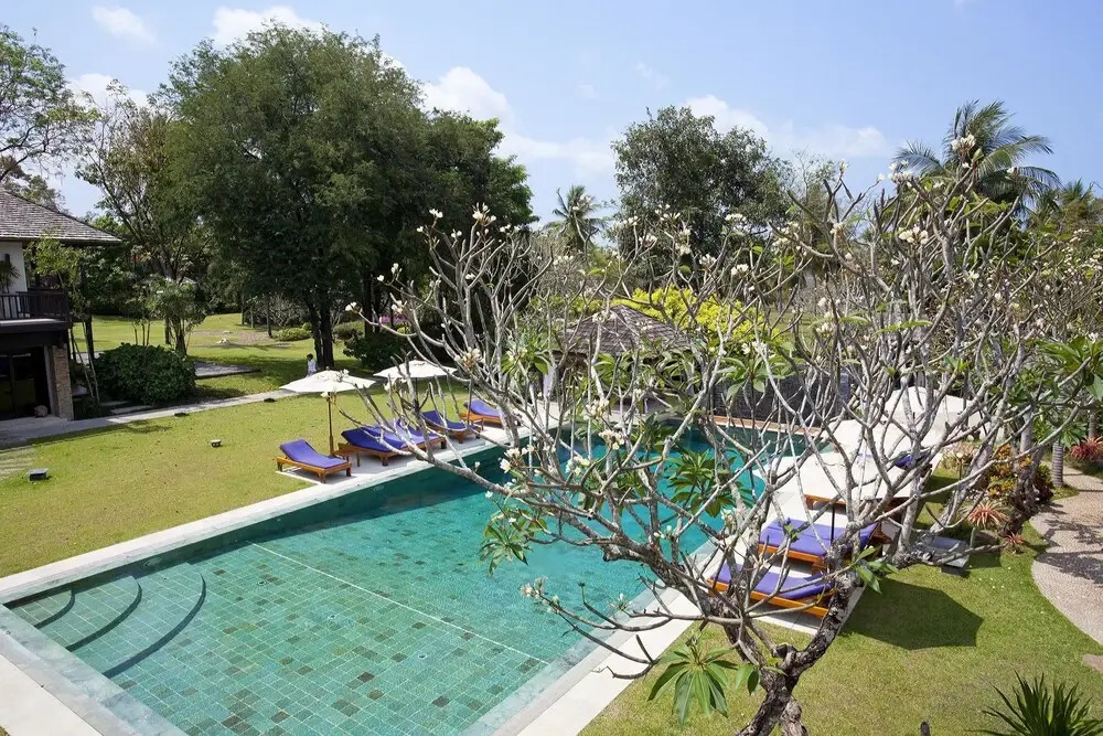 The Tamarind