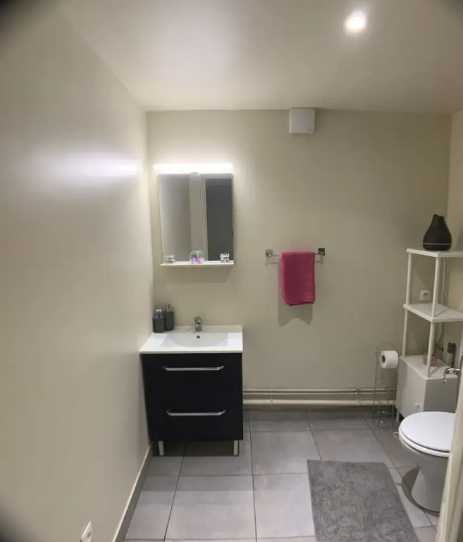 Appartement cosy proche Roissy CDG Astérix DisneyLand Paris