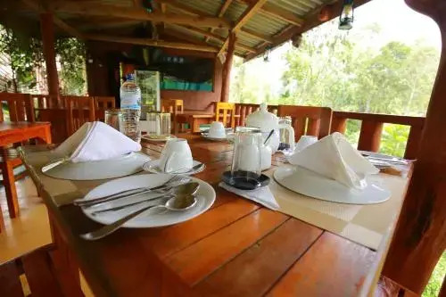 Tea Forest Lodge