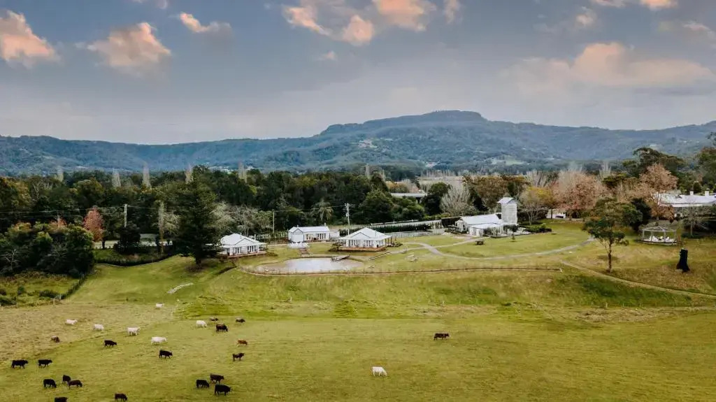 The Homestead