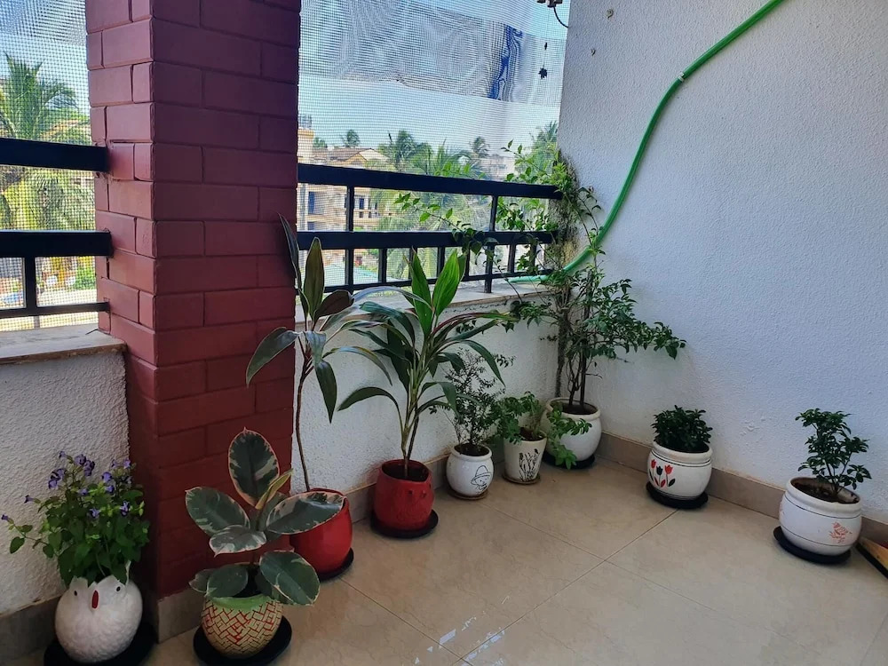Stunning Cosy Apartment for 2 in Arpora,goa