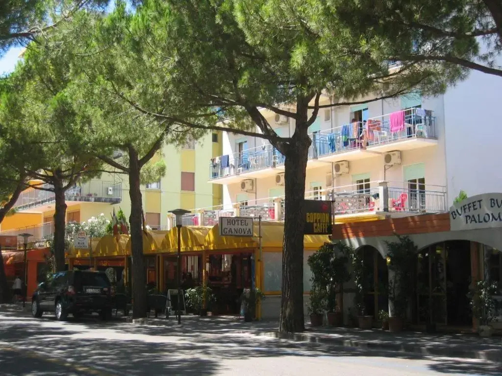 Hotel Canova