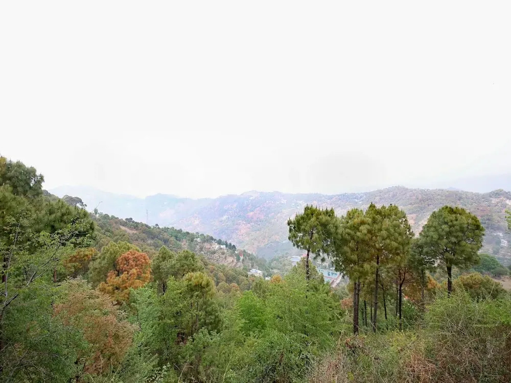 OYO 13404 Home Studios Mahal Farms Kasauli