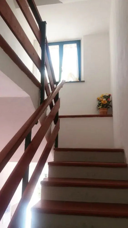 Agriturismo Pinzale