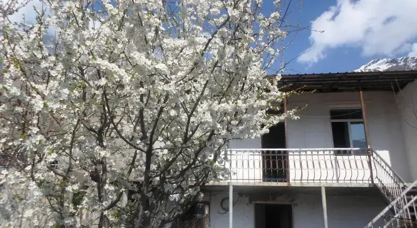 Nanas Guest House