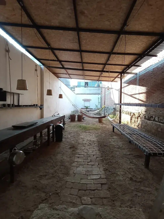 Iguana Coliving