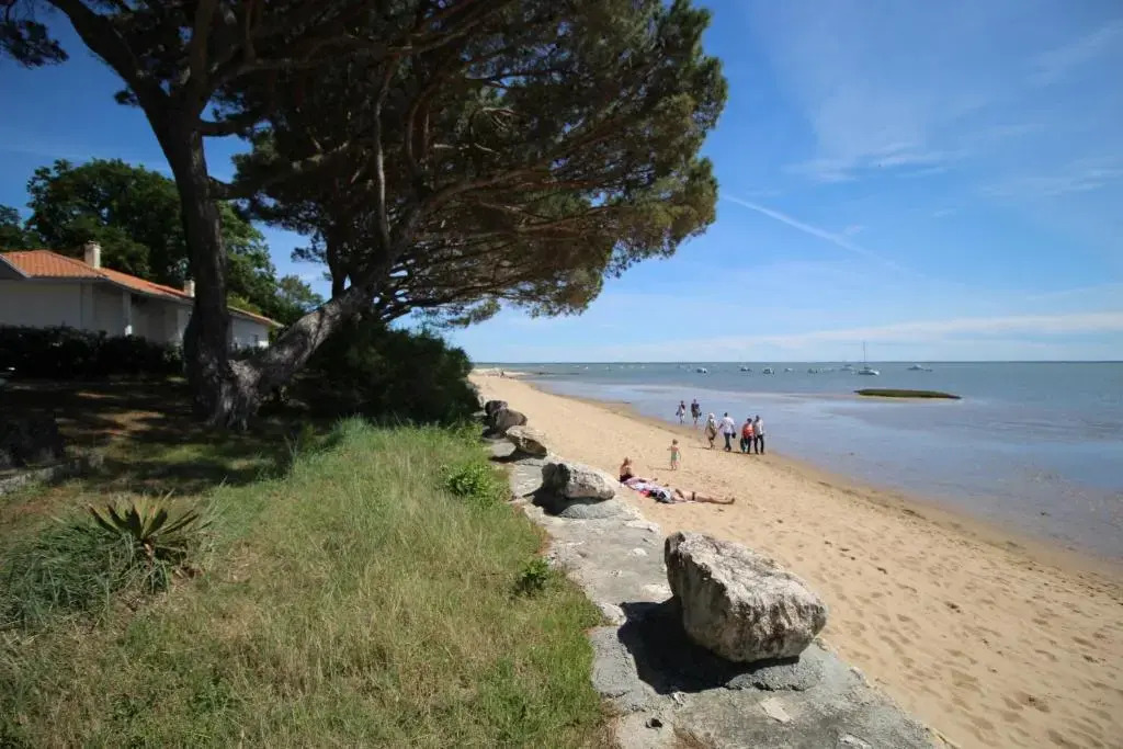 Appartement renove 3 chambres les pieds dans l eau