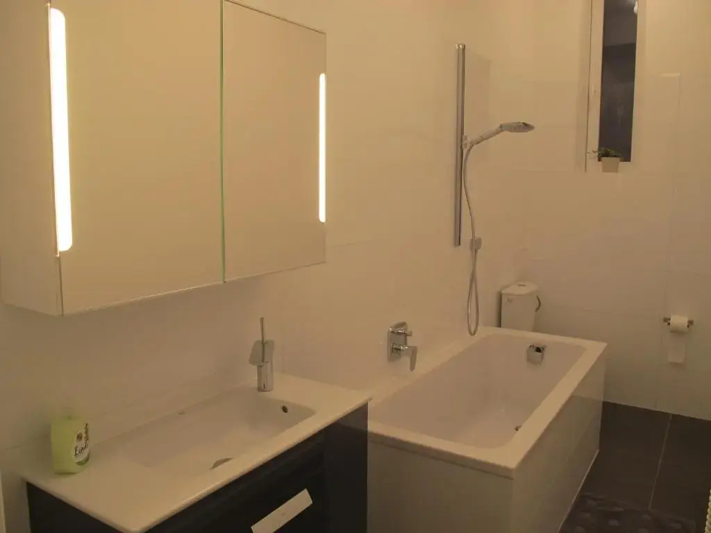 Apartament Czapskich Big House