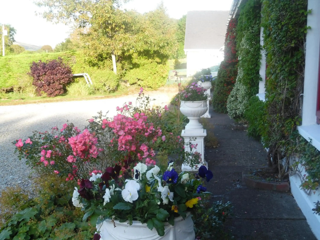 River Meadows B&B