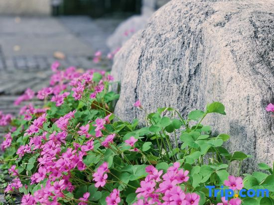 Yinshe Xianglin Homestay (Shanghai Hongqiao Airport Convention and Exhibition Center Branch)