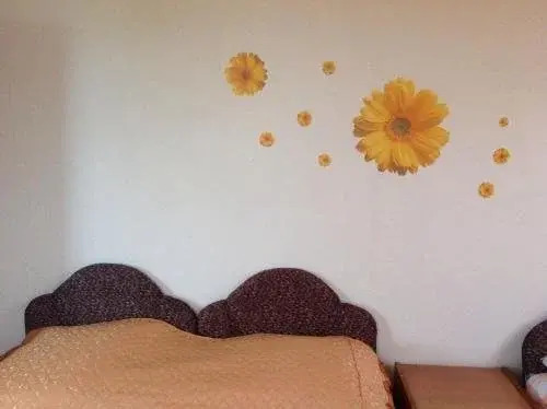 Guest house V ghostiakh u Susanny