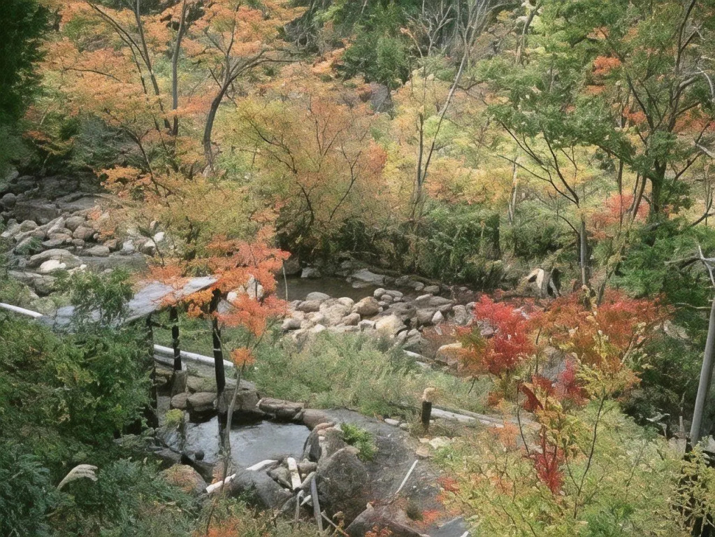 Sujiyu Onsen Kujyu Iyashi no Sato Hotel Dai Kogen