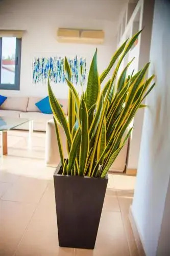 Villa Infinite Blu