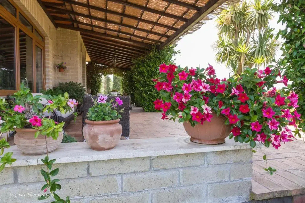 Il Casale Del Sogno