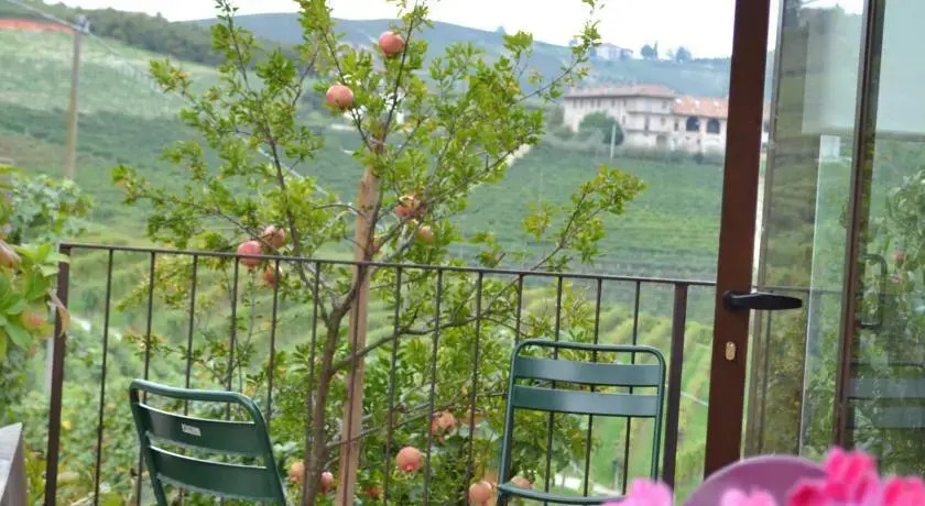Il Cortile Suites