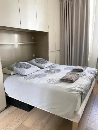 Delightful 1BR next to the Eiffel Tower
