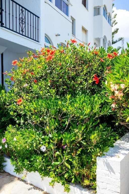 Lovely apartment 500m to the sea