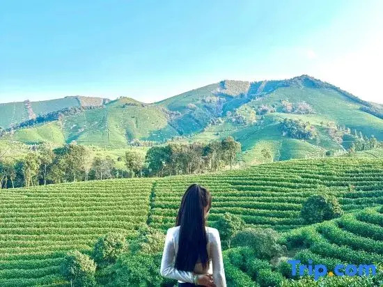 Cloud RAINBOW· Monet Garden · Stream Tracing Resort Homestay