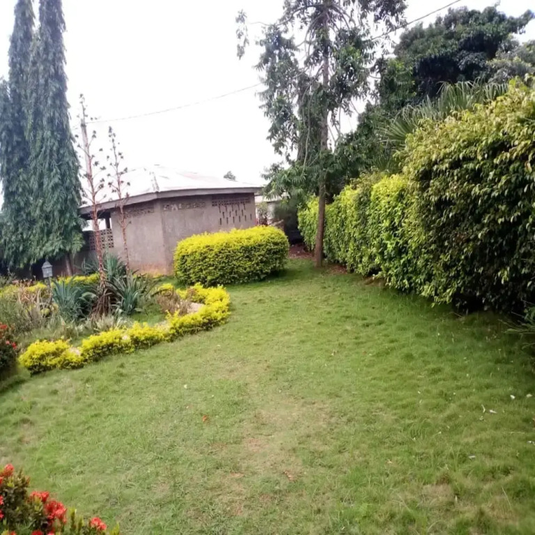 Hotel Atego