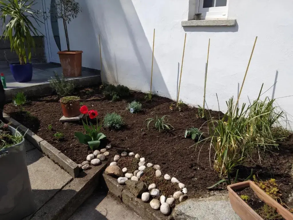 Studio Edeltraud 2022neu