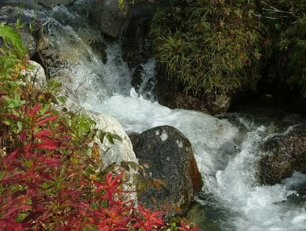 Alaska Adventure Unlimited Chalets