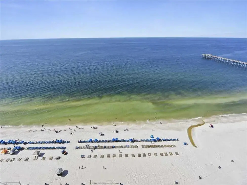 Calypso 1006 East Tower I - Three Bedroom Condo