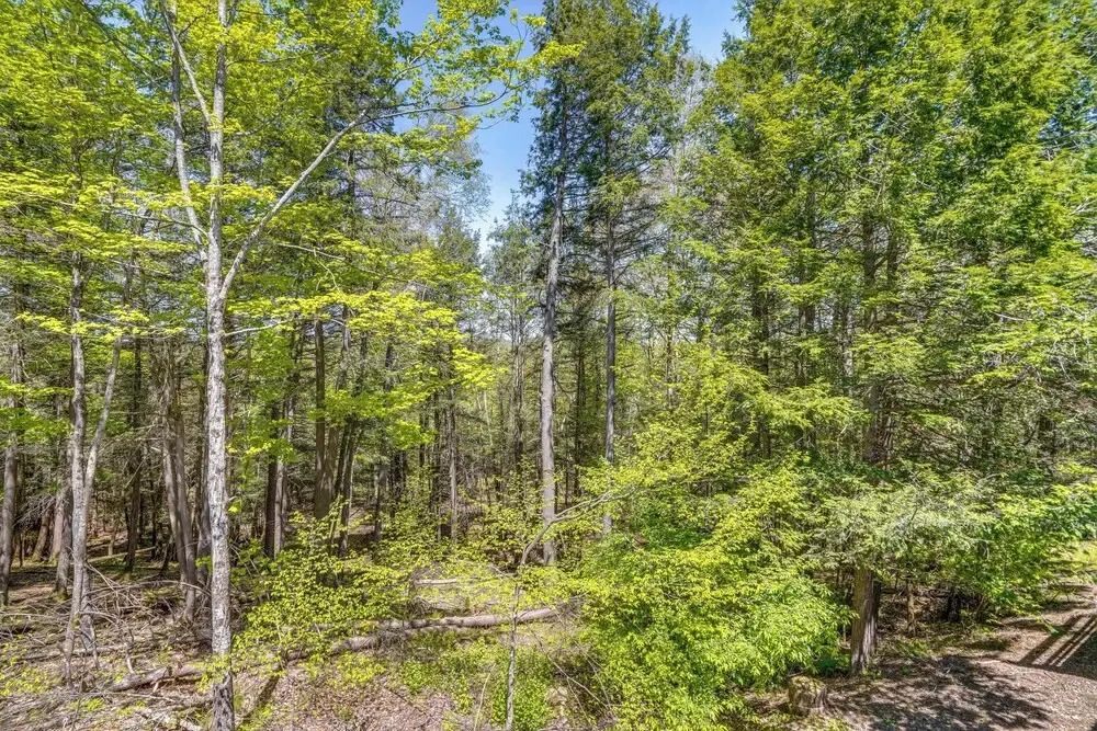 Ski, Hike & More: Year-round Gem in Windham
