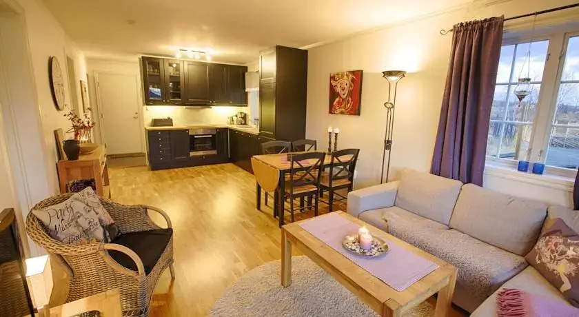 Apartment Hyggeli