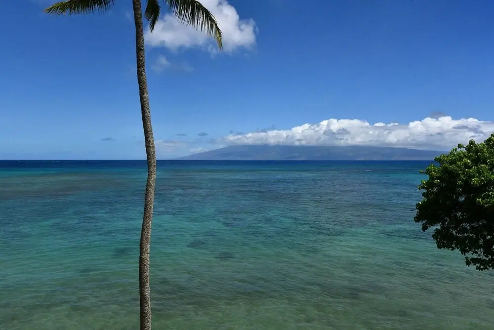 Kahana Reef 414 by RedAwning