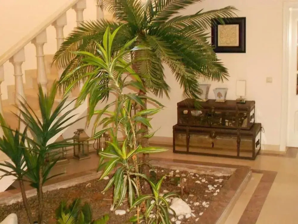 Hostel DP Albufeira