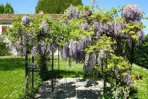 Villa delle Meridiane