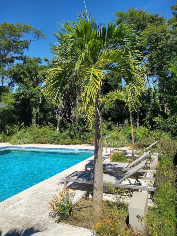 Palm Beach Inn
