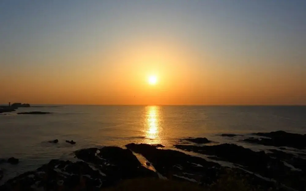 Pohang View 141 Pension